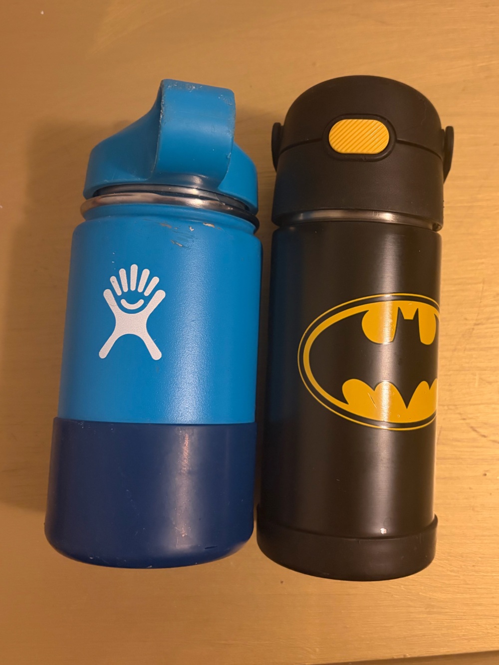 Hydro Flask Kids Water Bottle & Batman Insulated Bottle Lot of 2